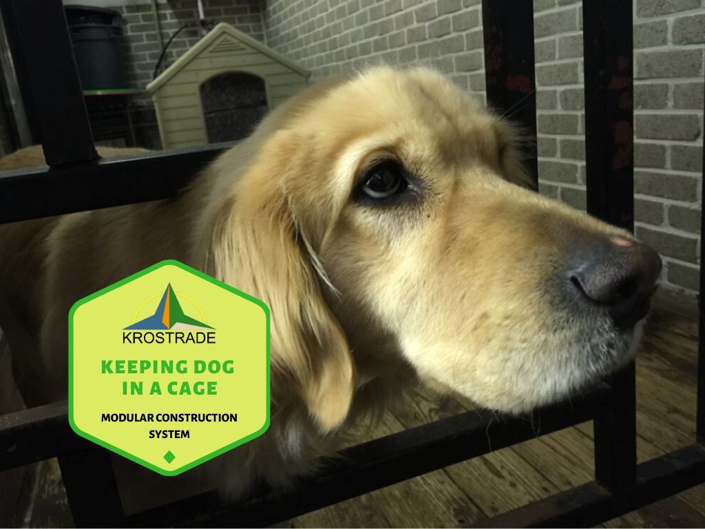 Ce que vous devez savoir pour garder un chien en cage toute la journée