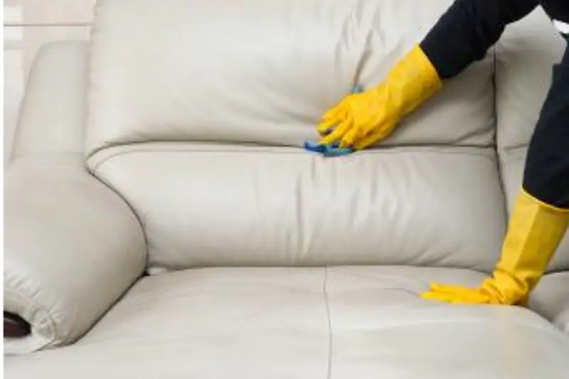 Des moyens sensationnels pour éliminer l'odeur de mouffette des meubles